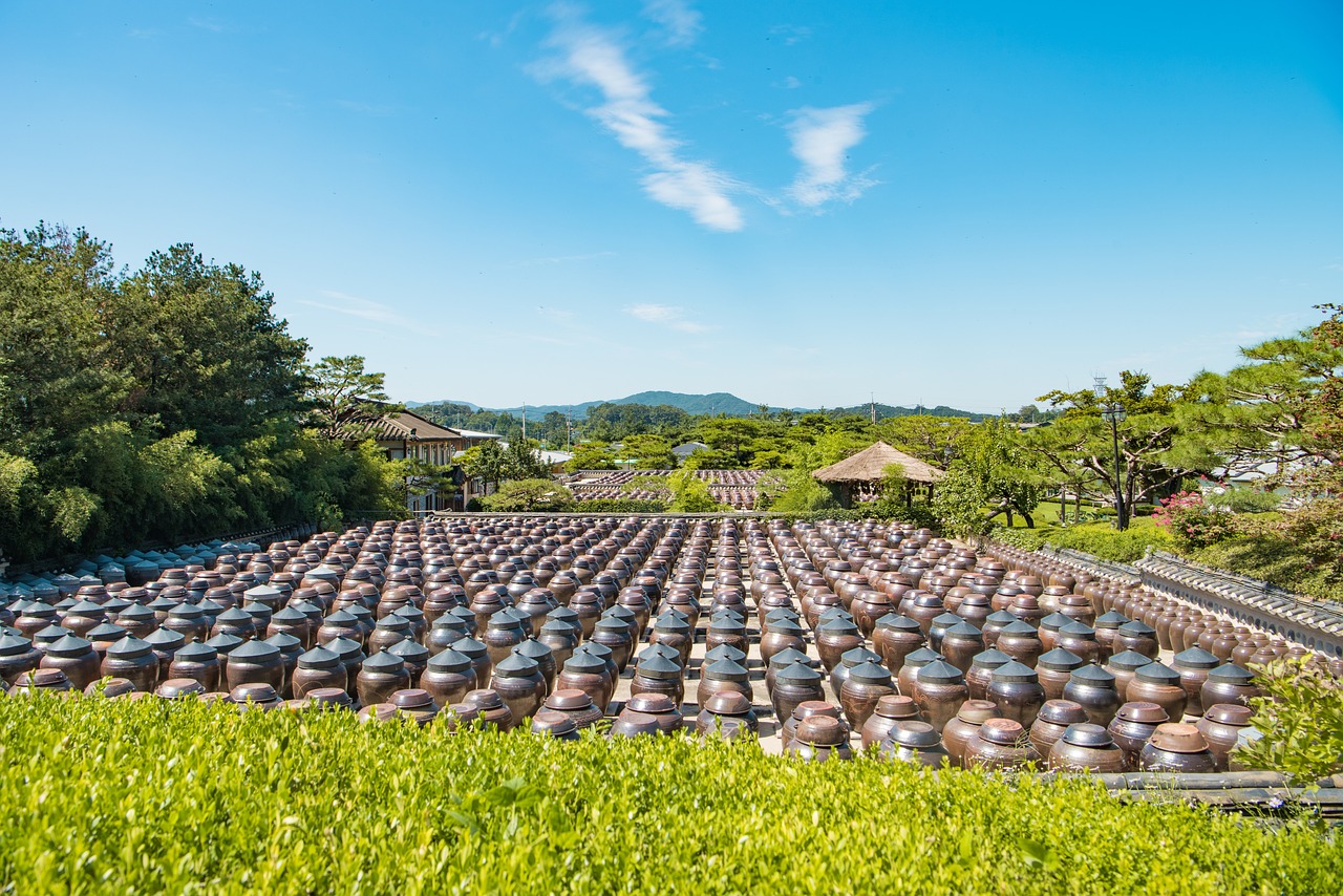 韩棋迷最新动态揭秘，围棋世界的激情与热爱探索