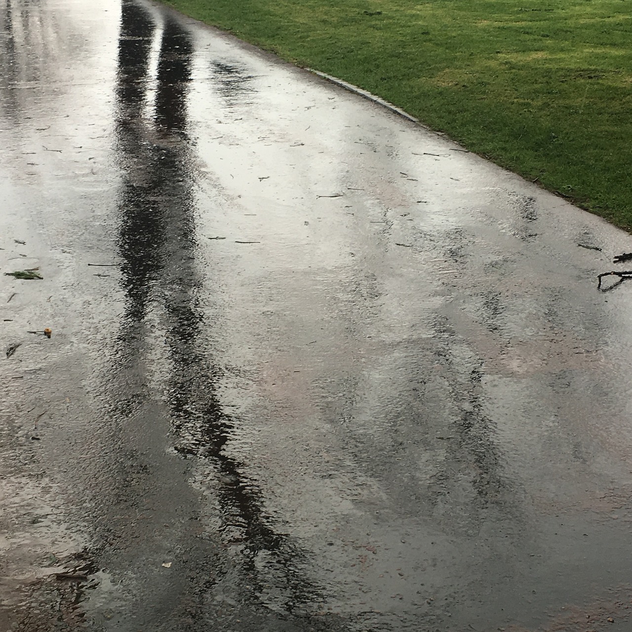 最新雨况报告，城市与自然在气象变化中的反应