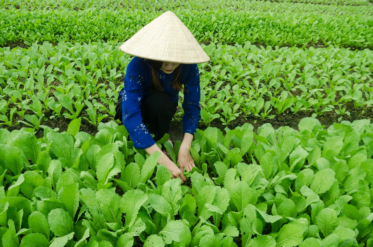 扬中最新发展动态，繁荣与进步的持续追求